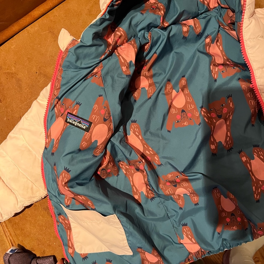 Patagonia Reversible Down Hoodie